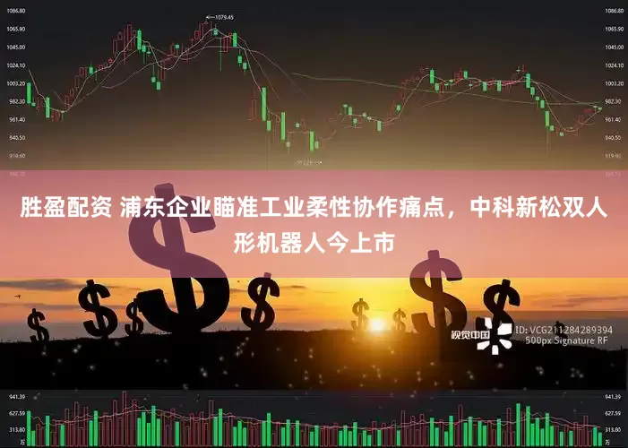 胜盈配资 浦东企业瞄准工业柔性协作痛点，中科新松双人形机器人今上市