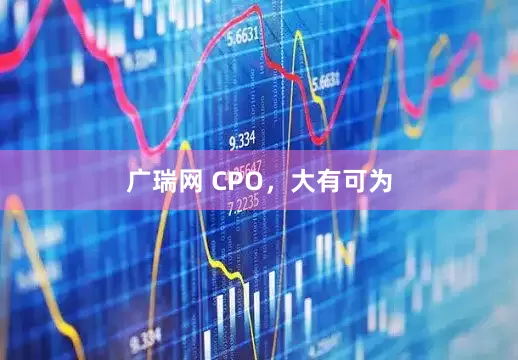 广瑞网 CPO，大有可为