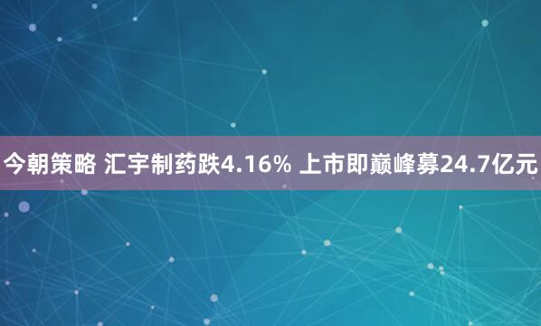 今朝策略 汇宇制药跌4.16% 上市即巅峰募24.7亿元