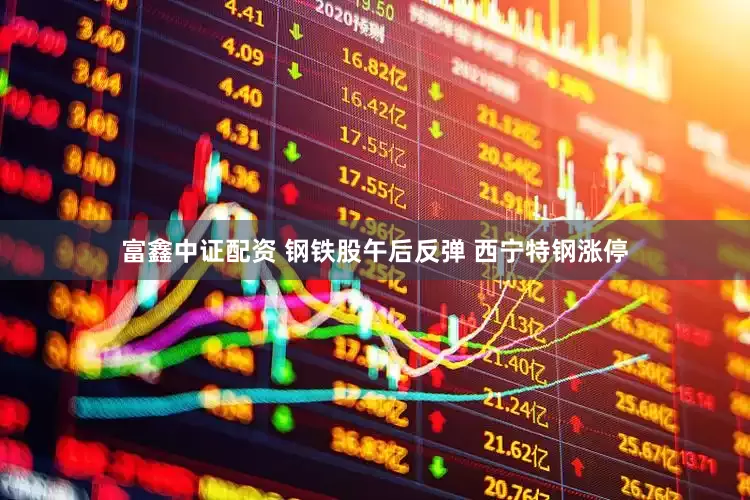 富鑫中证配资 钢铁股午后反弹 西宁特钢涨停