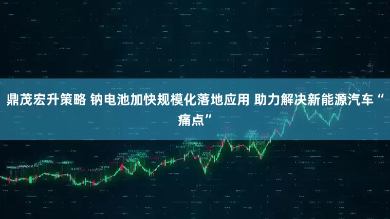 鼎茂宏升策略 钠电池加快规模化落地应用 助力解决新能源汽车“痛点”